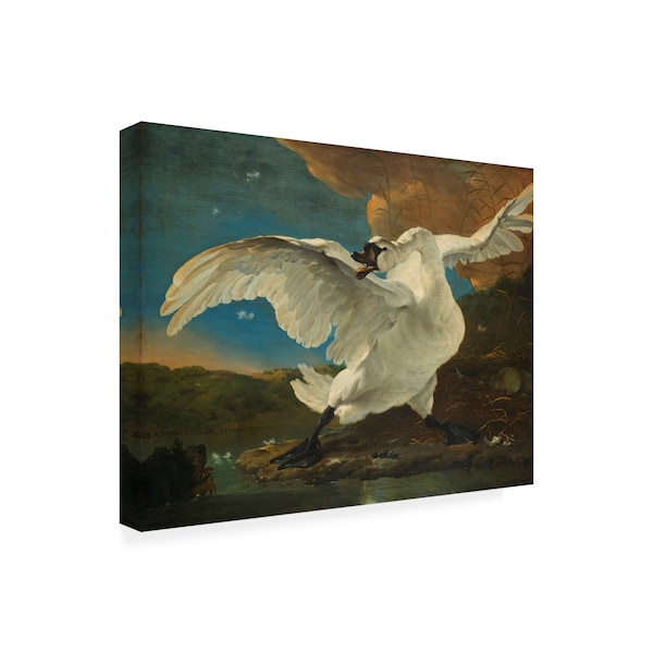 Jan Asselijn 'The Threatened Swan' Canvas Art,14x19